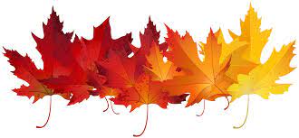 leaves3