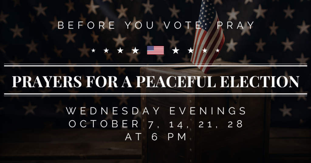 Before You Vote